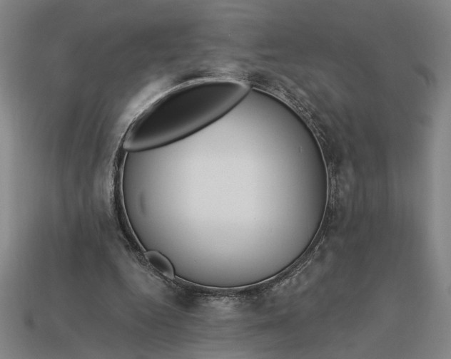 X0000113130344200909181714