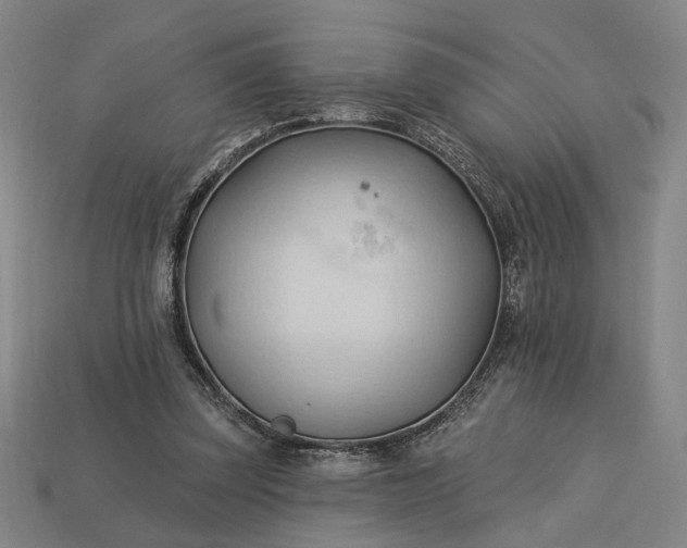 X0000113130347200909181714