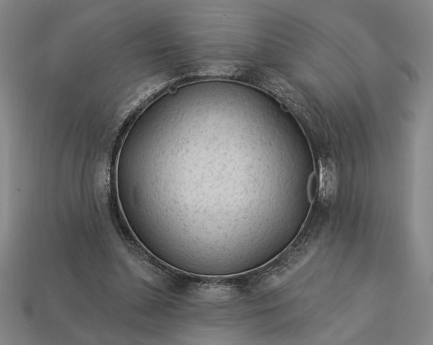 X0000113130348200909181714