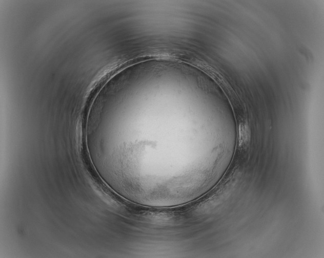 X0000113130349200909181714