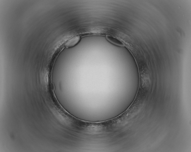 X0000113130350200909181714