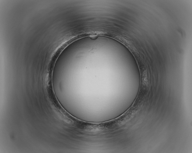 X0000113130351200909181714