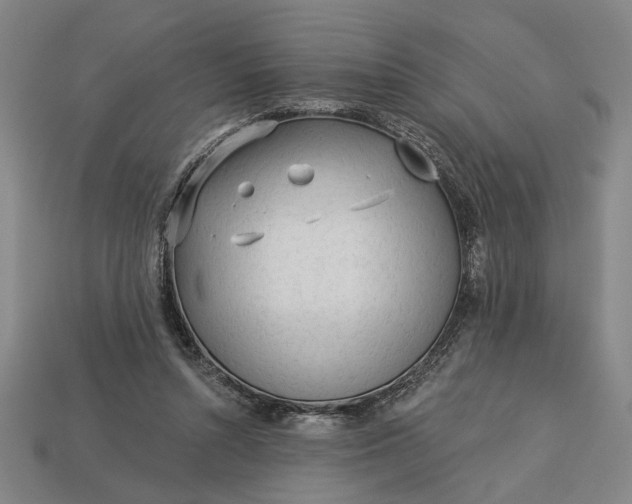 X0000113130352200909181714