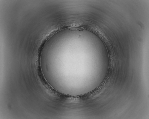 X0000113130354200909181714