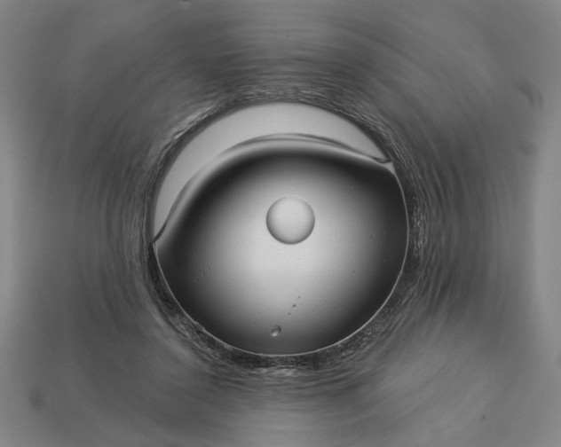 X0000113130356200909181714