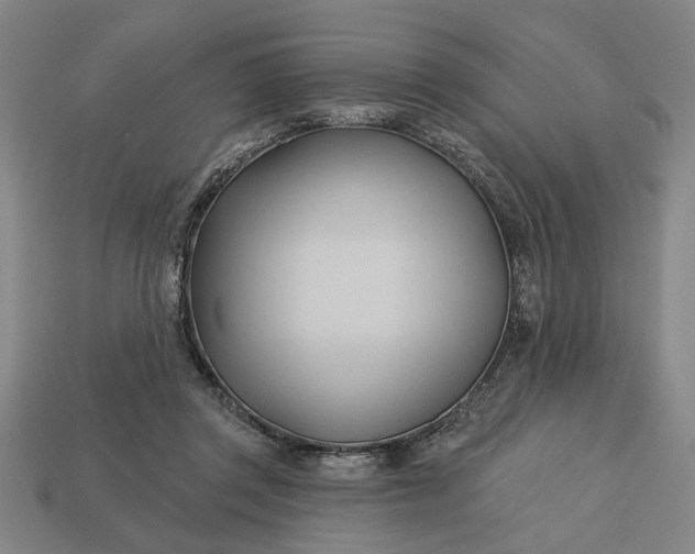 X0000113130357200909181714