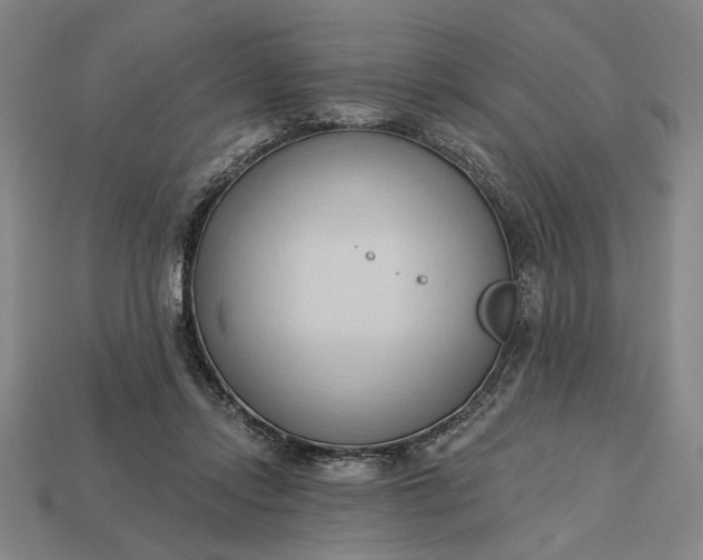 X0000113130358200909181714