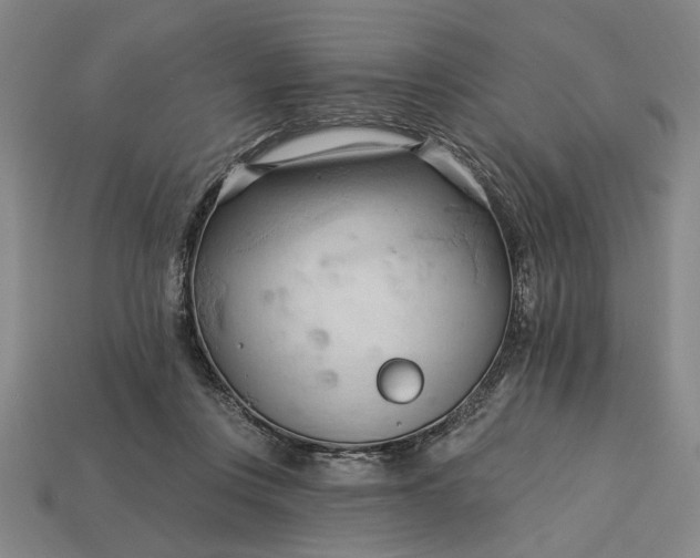 X0000113130359200909181714