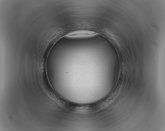 X0000113130362200909181714