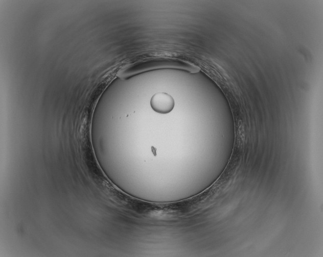 X0000113130364200909181714