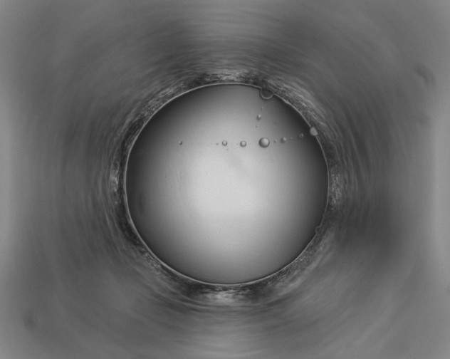 X0000113130365200909181714