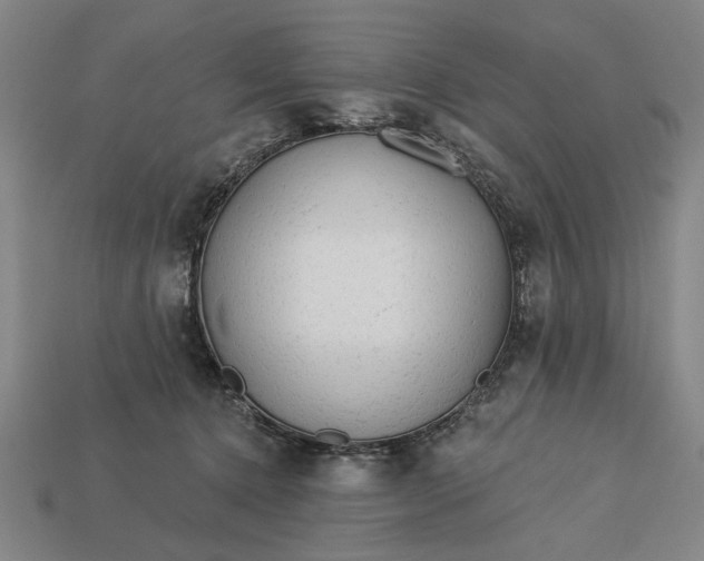 X0000113130368200909181714