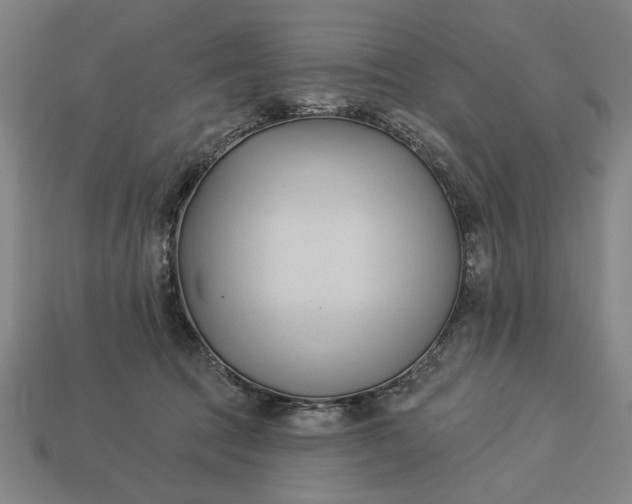 X0000113130369200909181714