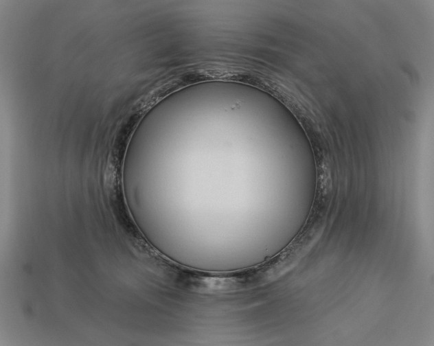 X0000113130371200909181714