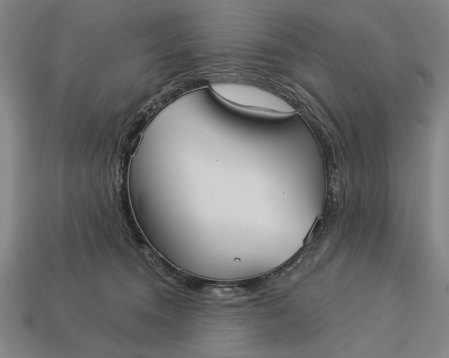 X0000113130372200909181714