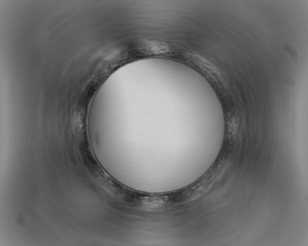 X0000113130373200909181714