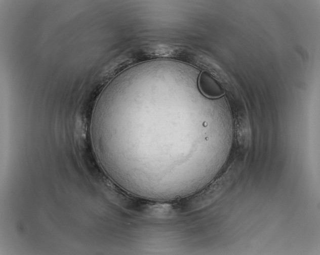 X0000113130374200909181714