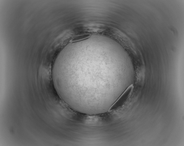 X0000113130376200909181714