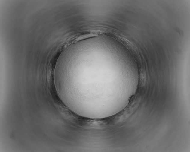 X0000113130379200909181714