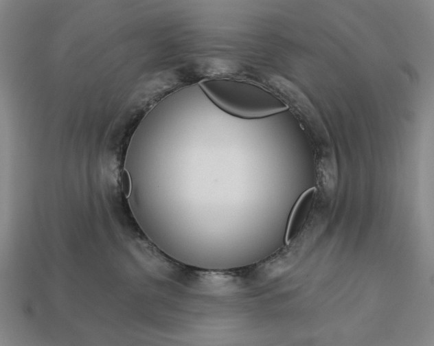 X0000113130380200909181714