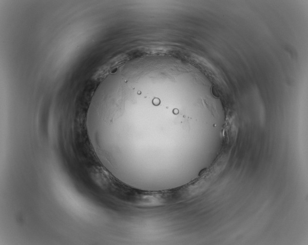 X0000113130381200909181714