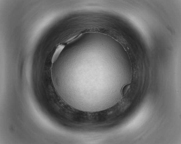 X0000113130383200909181714