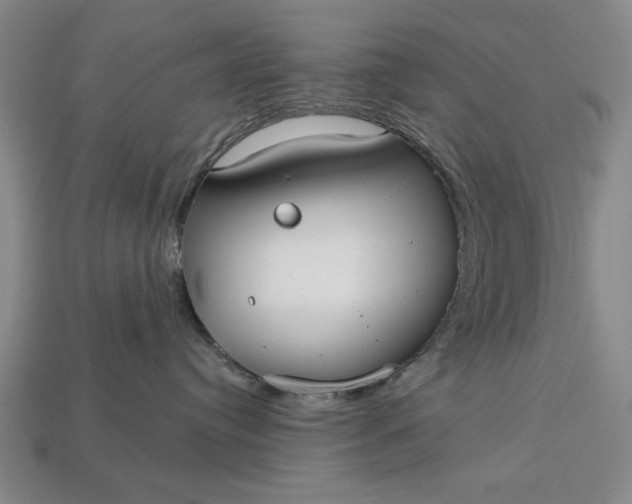 X0000113130384200909181714