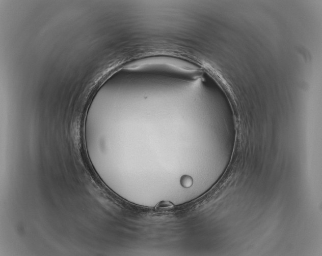 X0000113130386200909181713