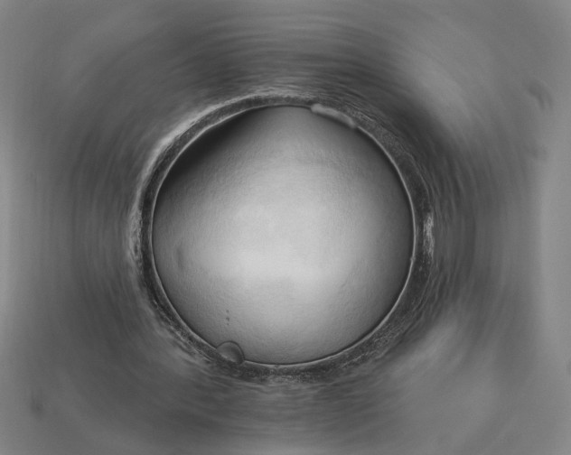 X0000113130388200909181713