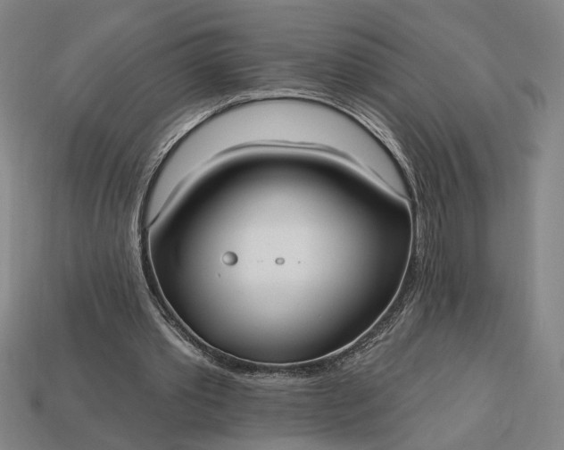 X0000113130389200909181713