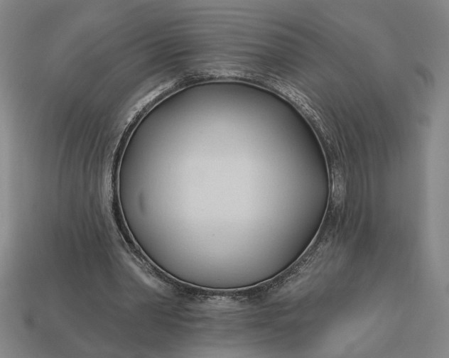 X0000113130390200909181713