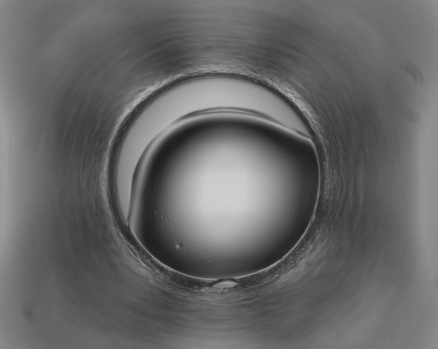 X0000113130391200909181713