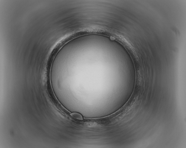 X0000113130392200909181713