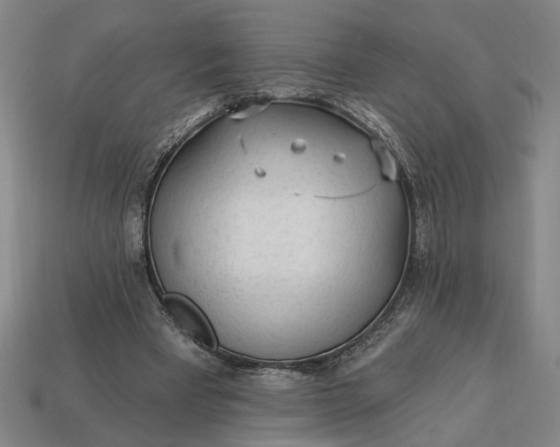 X0000113130393200909181713