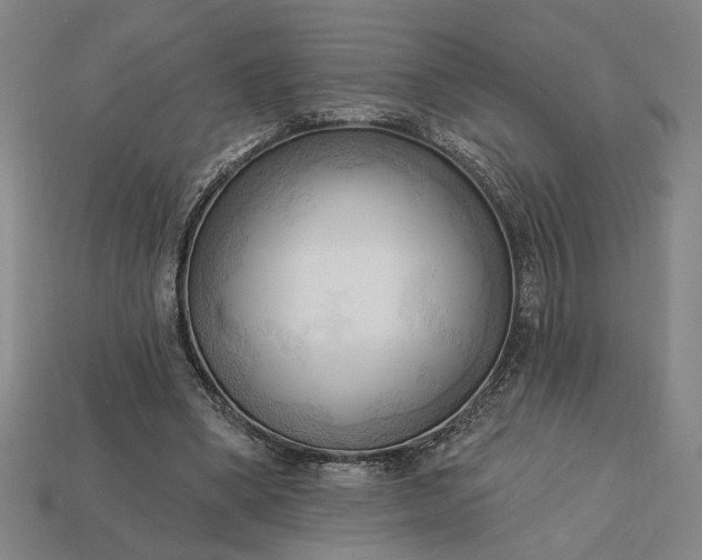 X0000113130394200909181713