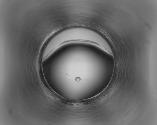 X0000113130395200909181713