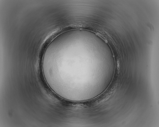 X0000113130396200909181713