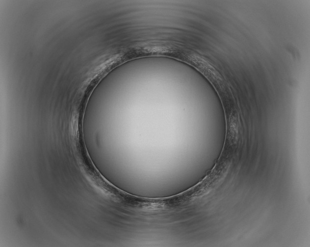 X0000113130398200909181713