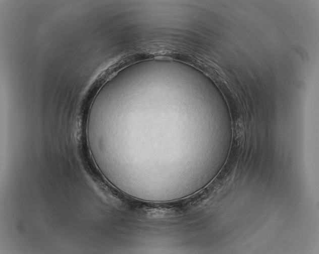 X0000113130400200909181713