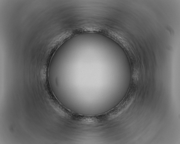 X0000113130402200909181713