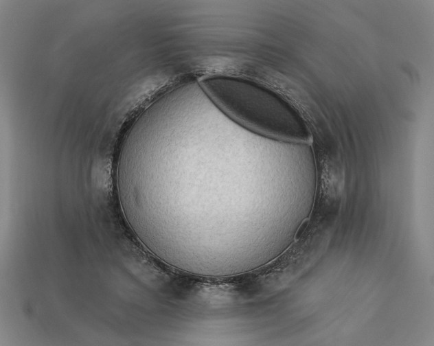 X0000113130403200909181713