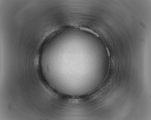 X0000113130404200909181713