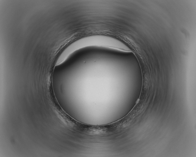 X0000113130405200909181713