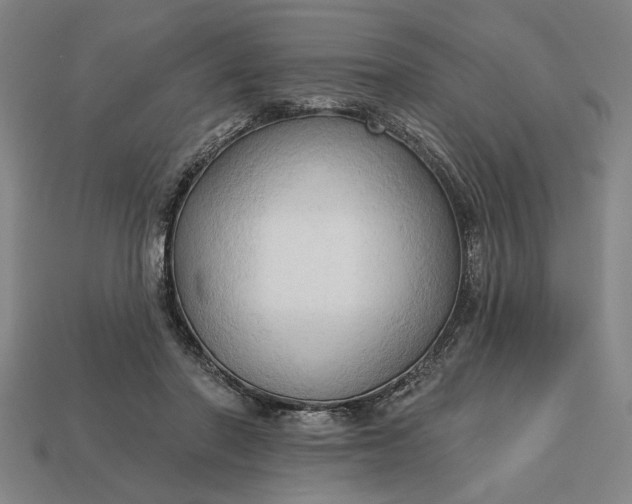 X0000113130406200909181713