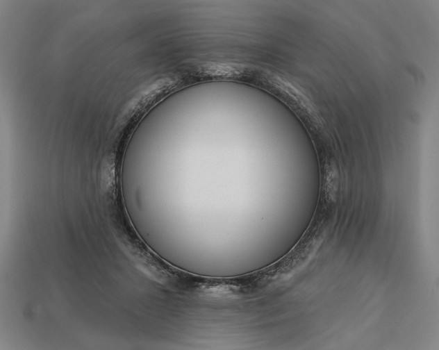 X0000113130407200909181713