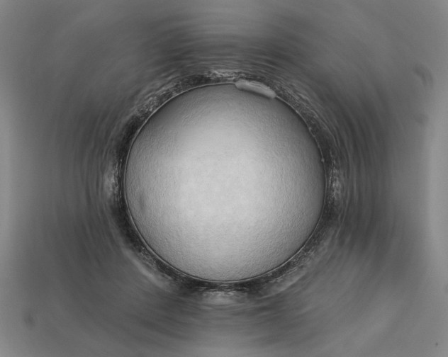 X0000113130408200909181713