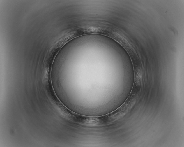 X0000113130410200909181713