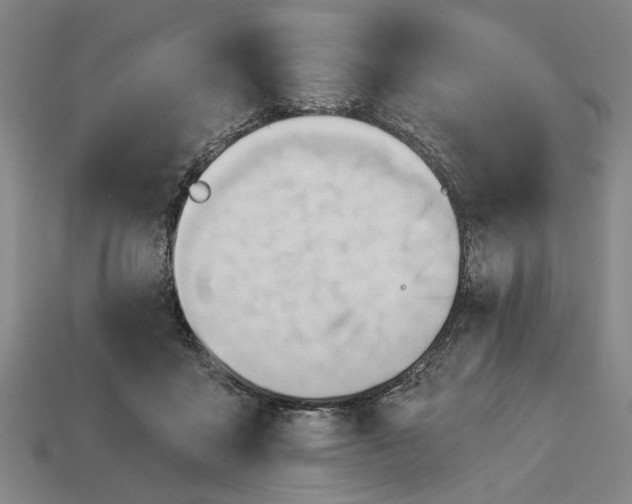 X0000113130411200909181713