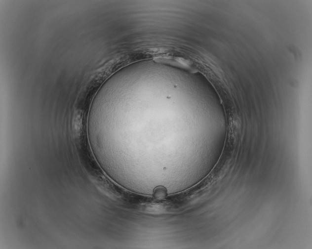 X0000113130412200909181713