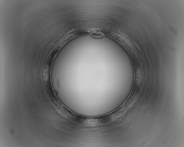 X0000113130413200909181713